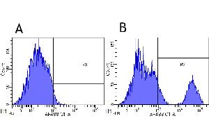 Flow-cytometry using the anti-CD20 research biosimilar antibody Rituximab   Cynomolgus monkey lymphocytes were stained with an isotype control (panel A) or the rabbit-chimeric version of Rituximab (panel B) at a concentration of 1 µg/ml for 30 mins at RT. (Rekombinanter MS4A1 (Rituximab Biosimilar) Antikörper)