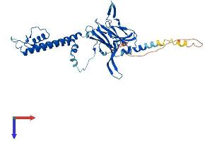 KCNJ9 Protein (AA 1-393) (His tag)