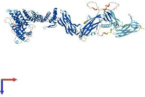 TRAPPC9 Protein (AA 1-1148) (His tag)