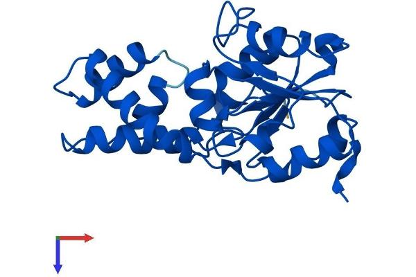 HDHD1 Protein (AA 1-228) (His tag)