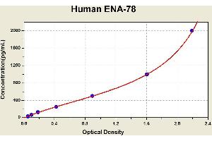 Chemokine (C-X-C Motif) Ligand 5 (CXCL5) ELISA Kit