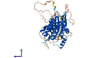 AlphaFold protein structure predicition of Human Recombinant IP6K3 Protein, UniprotID Q96PC2