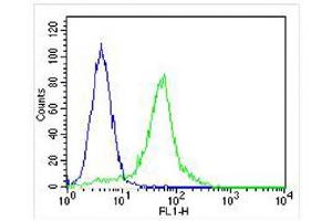 Flow Cytometry (FACS) image for anti-DNA-Damage-Inducible Transcript 3 (DDIT3) (AA 120-149), (C-Term) antibody (ABIN655895)