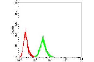 Flow Cytometry (FACS) image for anti-Transcription Factor AP-2 alpha (Activating Enhancer Binding Protein 2 Alpha) (TFAP2A) (AA 105-211) antibody (ABIN5611192)