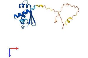 RPS10 Protein (AA 1-165) (His tag)