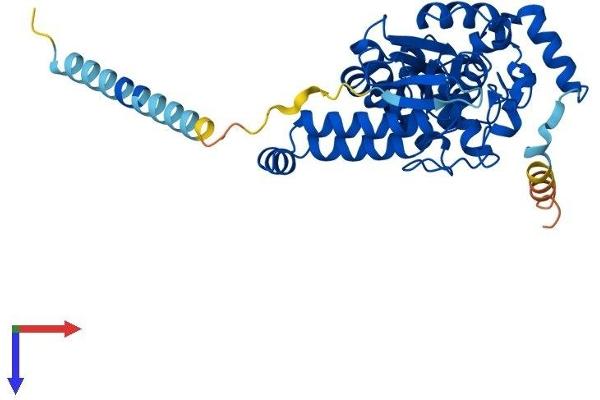 TPST2 Protein (AA 1-377) (His tag)