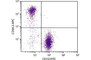 BALB/c mouse splenocytes were stained with Rat Anti-Mouse CD90.