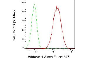 Flow cytometric analysis of Adducin 1 expression in HT- cells using Adducin 1 antibody (ABIN7797513), 1:2,000). (alpha Adducin Antikörper)
