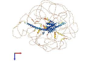 AlphaFold protein structure predicition of Mouse Recombinant Rprd2 Protein, UniprotID Q6NXI6