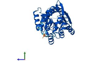 Protein Structure (PS) image for Histamine N-Methyltransferase (HNMT) (AA 1-292) protein (His tag) (ABIN7548320)