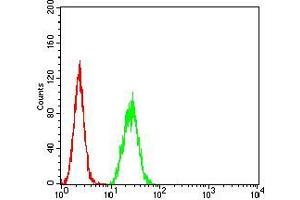 Flow cytometric analysis of Hela cells using CPV-VP2 mouse mAb (green) and negative control (red). (CPV-VP2 (AA 1-128) Antikörper)