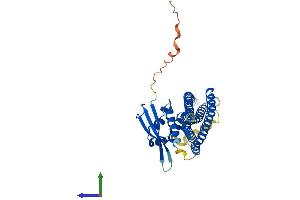 AlphaFold protein structure predicition of Human Recombinant SNX7 Protein, UniprotID Q9UNH6