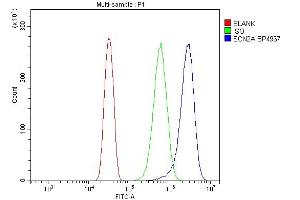 Flow Cytometry analysis of U20S cells using anti-SCN2A antibody (ABIN7603160).