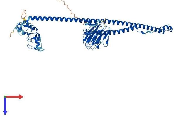 TRIM27 Protein (AA 1-513) (His tag)