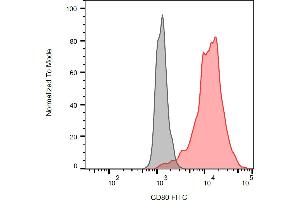 Flow cytometry analysis (surface staining) of CD80 transfected P815 cells using anti-human CD80 (MEM-233) FITC antibody (red, concentration in sample 3 μg/mL) with blank sample (grey). (CD80 Antikörper  (Extracellular Domain) (FITC))