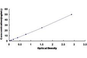 Typical standard curve (SLC16A3 ELISA Kit)