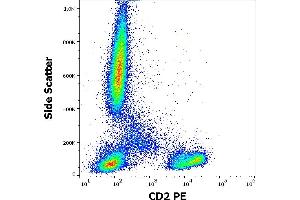 Flow cytometry surface staining pattern of human peripheral whole blood stained using anti-human CD2 (TS1/8) PE antibody (10 μL reagent / 100 μL of peripheral whole blood).