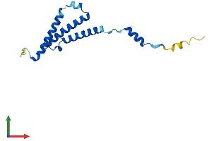 AlphaFold protein structure predicition of Human Recombinant C1D Protein, UniprotID Q13901