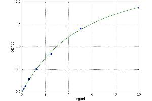 A typical standard curve