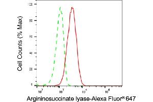 Flow cytometric analysis of Argininosuccinate lyase expression in HT- cells using Argininosuccinate lyase antibody (ABIN7797646), 1:2,000). (ASL Antikörper)