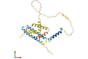 Protein Structure (PS) image for Coiled-Coil Domain Containing 28A (CCDC28A) (AA 1-274) protein (His tag) (ABIN7552908)