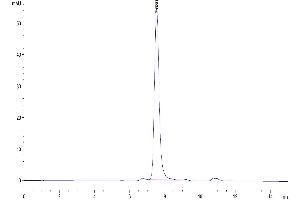 The purity of Mouse GDF15 is greater than 95 % as determined by SEC-HPLC. (GDF15 Protein (AA 189-303) (Fc Tag))