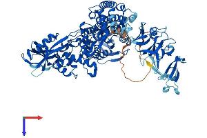 TOP3B Protein (AA 1-862) (His tag)