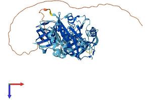 GSPT1 Protein (AA 1-499) (His tag)