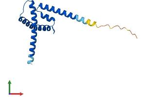 Protein Structure (PS) image for Apoptosis-Inducing, TAF9-Like Domain 1 (APITD1) (AA 1-138) protein (His tag) (ABIN7553237)