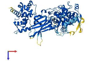 PLCz1 Protein (AA 1-647) (His tag)
