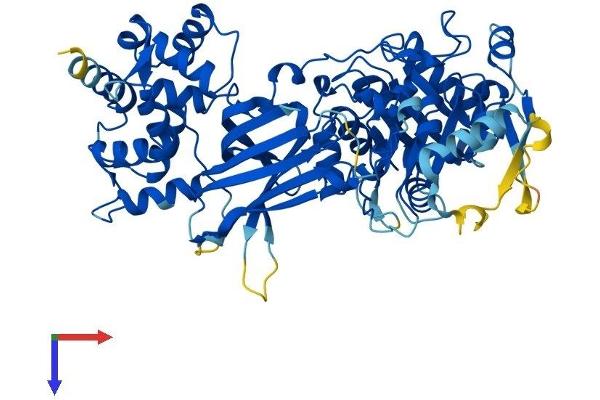 PLCz1 Protein (AA 1-647) (His tag)