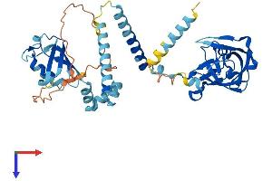 DDI2 Protein (AA 1-399) (His tag)