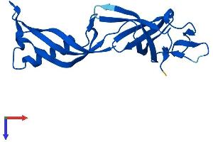POLR2G Protein (AA 1-172) (His tag)