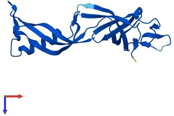 POLR2G Protein (AA 1-172) (His tag)