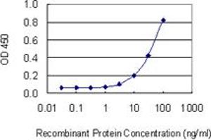 Detection limit for recombinant GST tagged OLFM1 is 1 ng/ml as a capture antibody. (Olfactomedin 1 Antikörper  (AA 1-169))