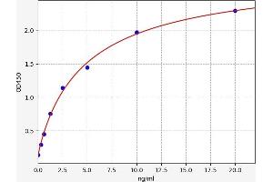 ELISA image for Signal Transducer and Activator of Transcription 3 (Acute-Phase Response Factor) (STAT3) ELISA Kit (ABIN6970215)