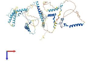 MPHOSPH10 Protein (AA 1-681) (His tag)