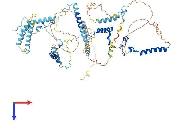MPHOSPH10 Protein (AA 1-681) (His tag)