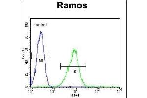 HIP1R Antibody (N-term) (ABIN655061 and ABIN2844690) flow cytometric analysis of Ramos cells (right histogram) compared to a negative control cell (left histogram).