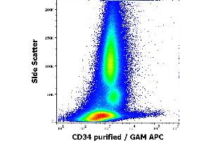 Flow cytometry surface staining pattern of human peripheral whole blood stained using anti-human CD34 (QBEnd-10) purified antibody (concentration in sample 0,6 μg/mL, GAM APC). (CD34 Antikörper)