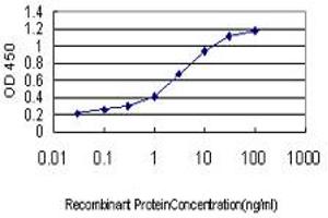 Detection limit for recombinant GST tagged PLCL2 is approximately 0. (PLCL2 Antikörper  (AA 121-210))