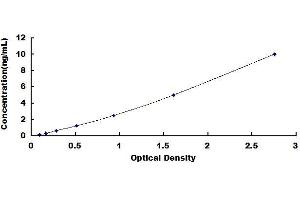 CXCR7 ELISA Kit