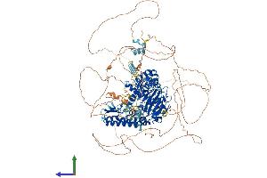 Protein Structure (PS) image for Jumonji, AT Rich Interactive Domain 2 (JARID2) (AA 1-1234) protein (His tag) (ABIN7563961)