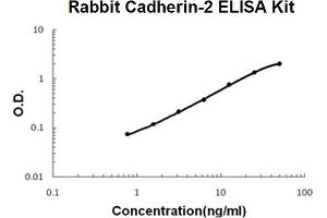 Rabbit Cadherin-2/N-Cadherin PicoKine ELISA Kit standard curve (N-Cadherin ELISA Kit)