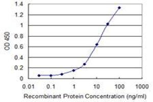 Detection limit for recombinant GST tagged PAK2 is 0. (PAK2 Antikörper  (AA 131-230))