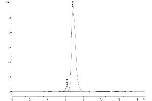 The purity of Biotinylated Human HLA-G Complex Tetramer is greater than 95 % as determined by SEC-HPLC. (HLAG Protein (Tetramer) (Biotin,HLA-G))