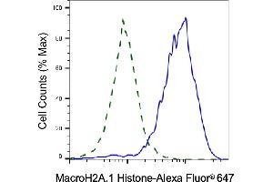 Validation of MacroH2A.