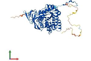 Protein Structure (PS) image for Dihydropyrimidinase-Like 2 (DPYSL2) (AA 1-572) protein (His tag) (ABIN7547235)