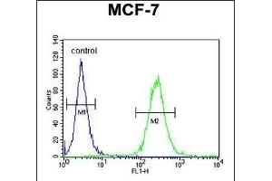 UPF2 Antibody (Center) (ABIN654649 and ABIN2844345) flow cytometric analysis of MCF-7 cells (right histogram) compared to a negative control cell (left histogram). (RENT2/UPF2 Antikörper  (AA 630-656))