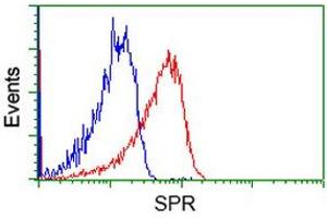Flow cytometric Analysis of Hela cells, using anti-SPR antibody (ABIN2453680), (Red), compared to a nonspecific negative control antibody (TA50011), (Blue). (SPR Antikörper)